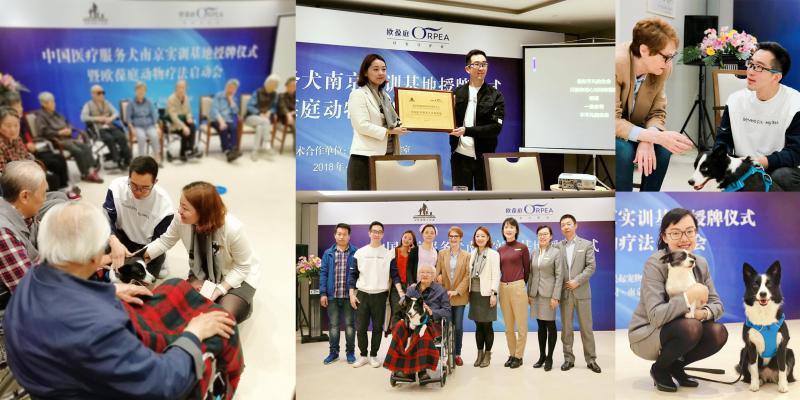 Pet-therapy for dependent elderly people: ORPEA Nanjing became officially a training base for…, image 1
