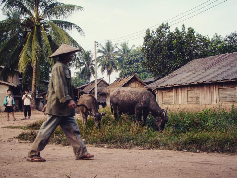 Lao village close to Luang Prabang, Laos