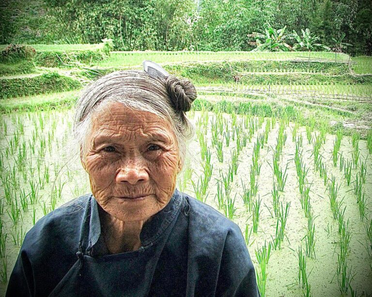 Elderly Dong woman, proud of her rice fields!