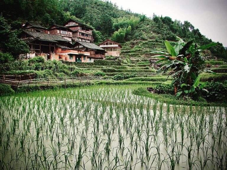 Welcome to Kuangli, one of the villages in North Guangxi where the amazing NGO Couleurs de Chine is…, image 1