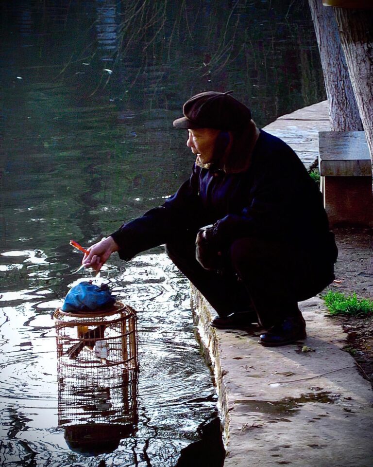 Giving fresh water to the bird, at Green Lake, Kunming