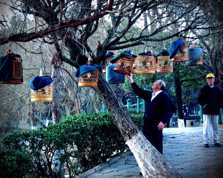 Giving fresh air to the birds, at Green Lake, Kunming
