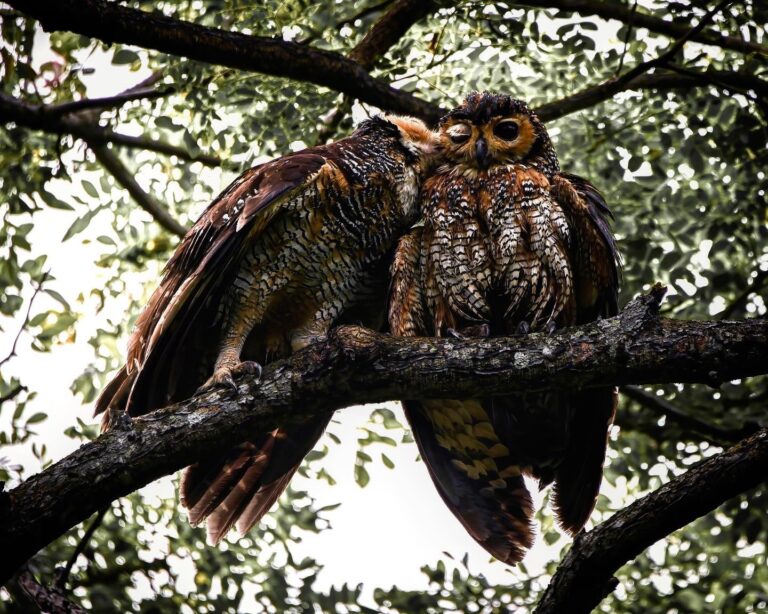 Him: “Hey Dude, I told you I’ll get that girl! *Wink*”, image 1