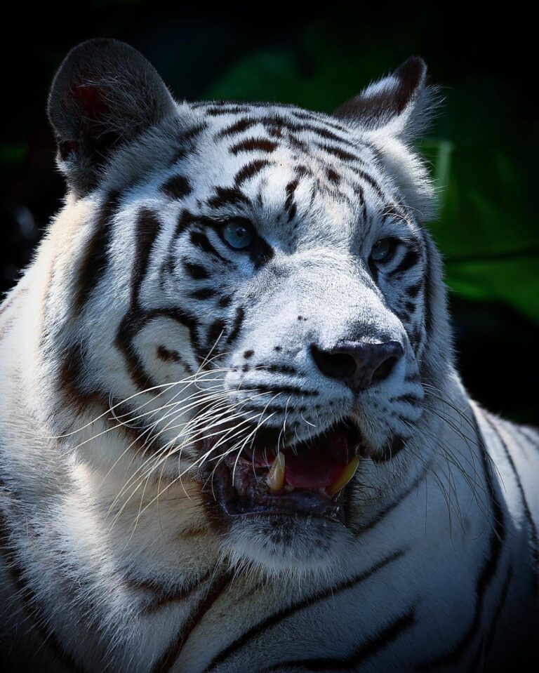 Not so wild and, but not so far and still beautiful!