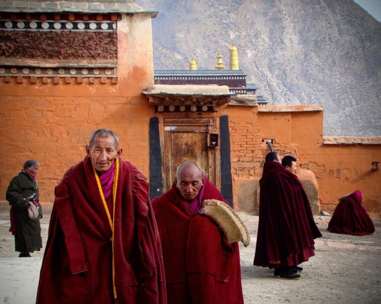 Tibetan Buddhist monks from the yellow-hat Gelugpa sect on their way to the daily prayer at Labrang…