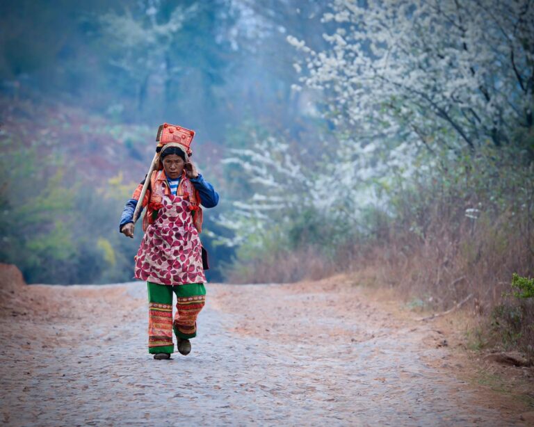 Woman from the "Pu", or "Pula", branch of the Yi people, going to the fields, in Yunnan's Honghe prefecture, image 1