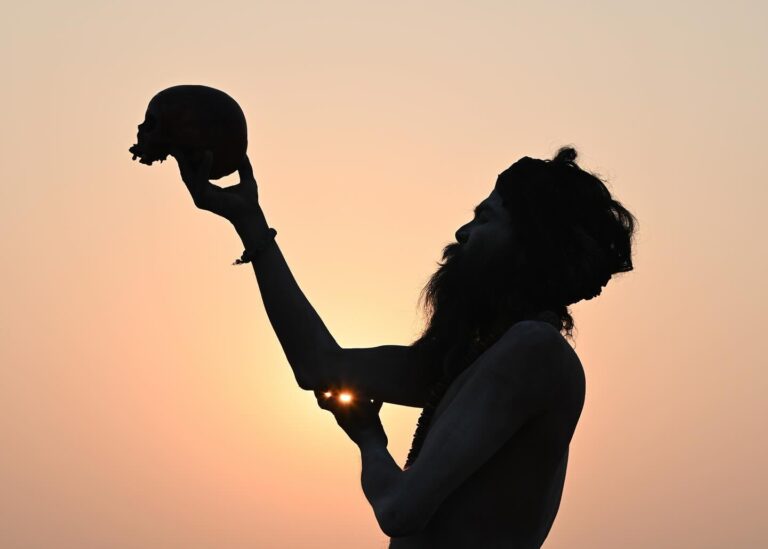 To be or not to be an Aghori Sadhu?