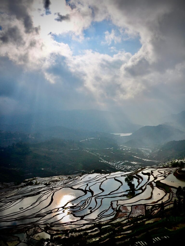 North Honghe Rice Fields. Not as dense as their southern counterparts in Yuanyang, the rice fields from the…