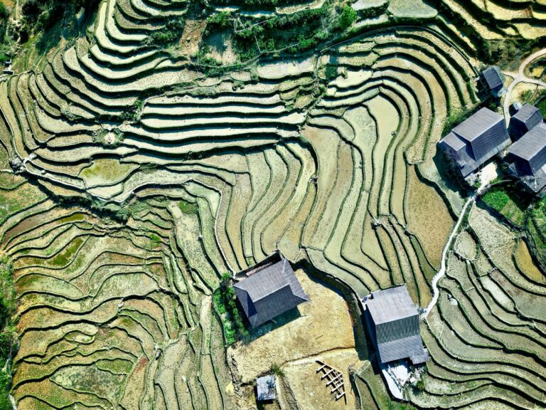 The beautiful rice terraces around the town of Sa Pa, in North Vietnam, close to the border with China