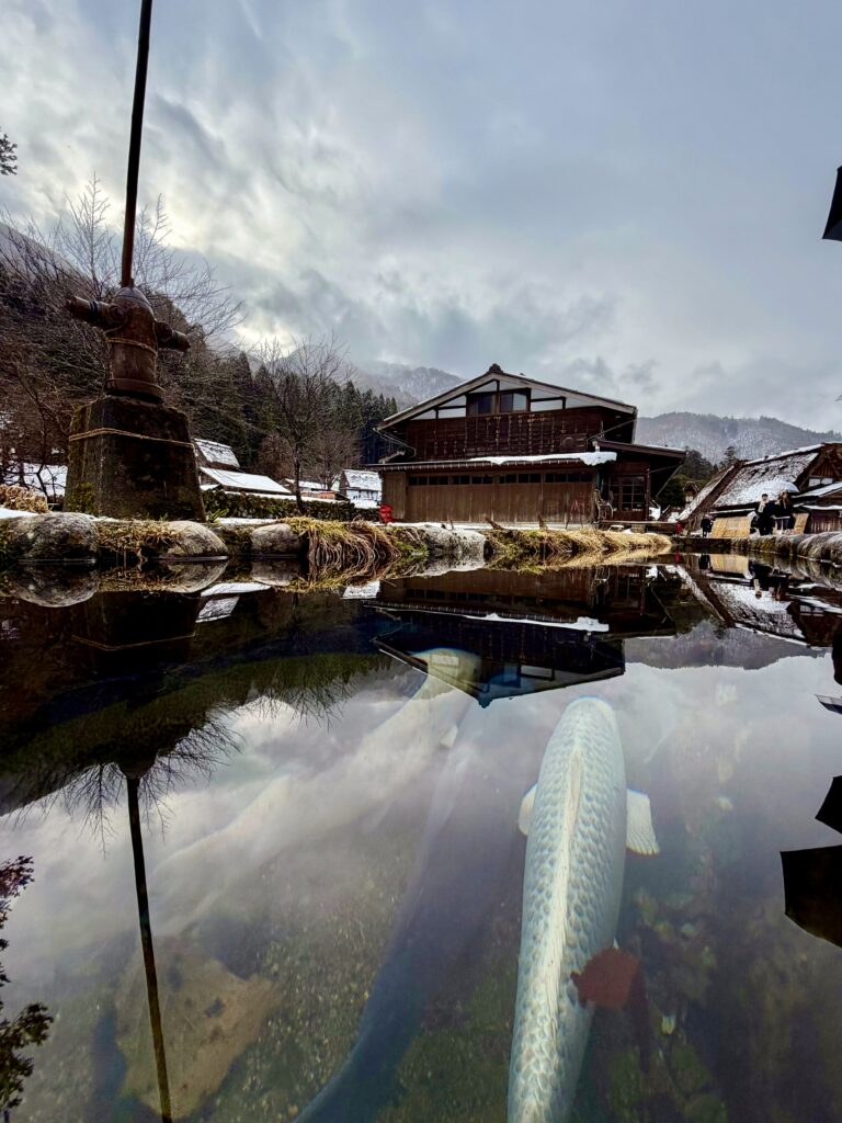 Shirakawa-go under the snow